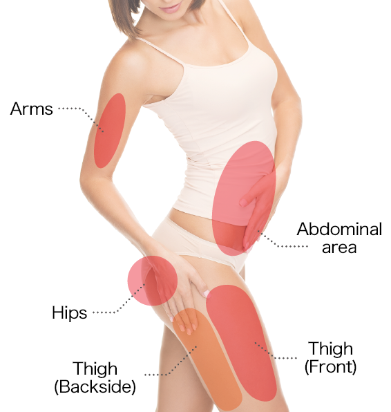 施術可能部位　体